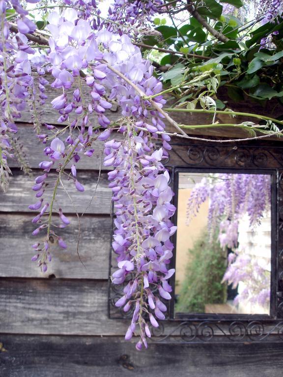 Gite Au Jardin Meilhan-sur-Garonne Habitación foto