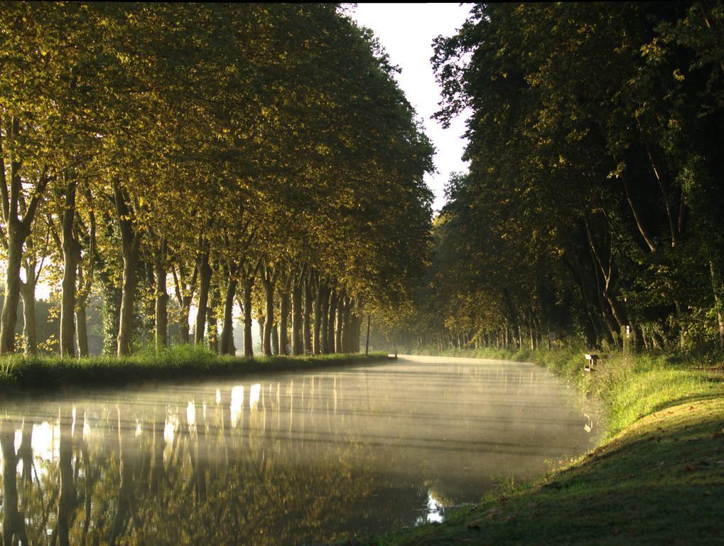 Gite Au Jardin Meilhan-sur-Garonne Habitación foto