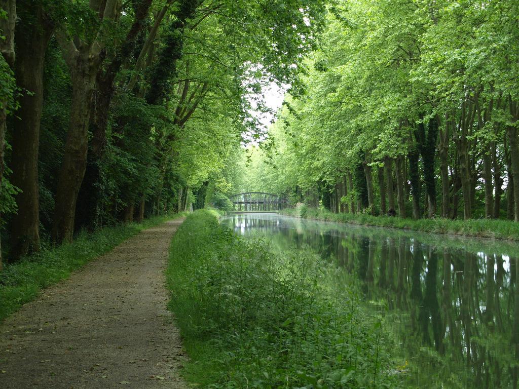 Gite Au Jardin Meilhan-sur-Garonne Habitación foto