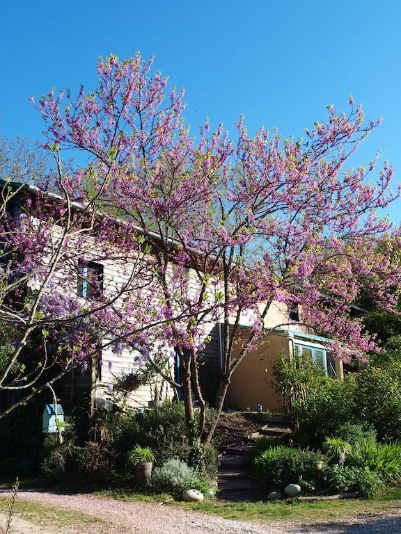 Gite Au Jardin Meilhan-sur-Garonne Habitación foto