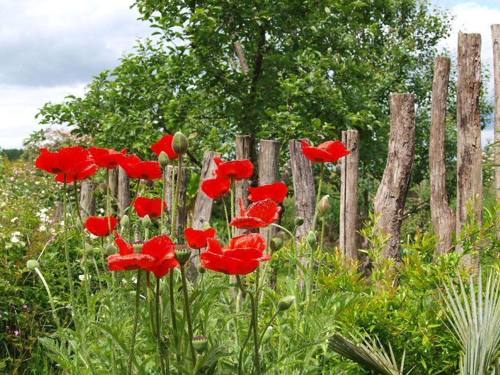 Gite Au Jardin Meilhan-sur-Garonne Habitación foto