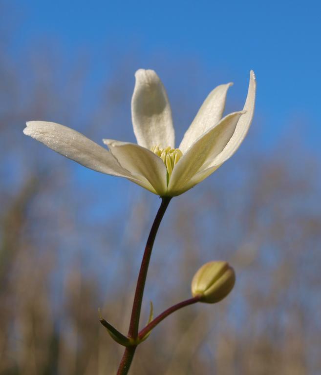 Gite Au Jardin Meilhan-sur-Garonne Habitación foto