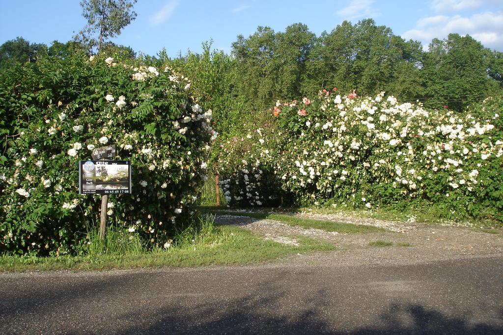 Gite Au Jardin Meilhan-sur-Garonne Exterior foto