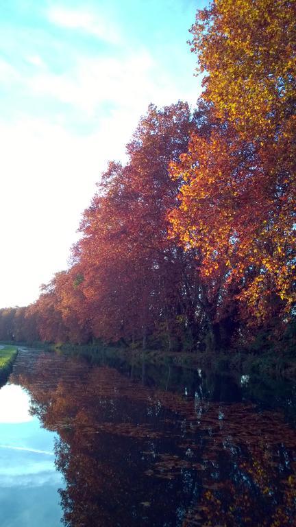 Gite Au Jardin Meilhan-sur-Garonne Exterior foto